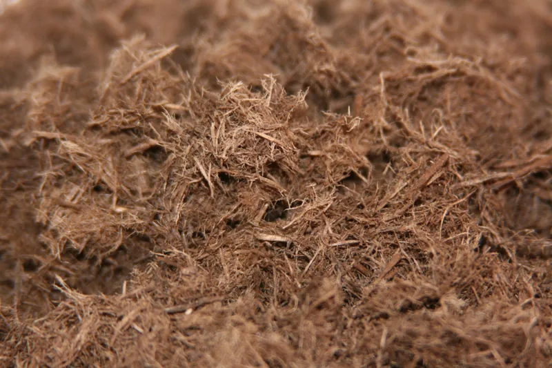 Holzfasern — Nachhaltiger Torfersatz aus nachwachsenden Rohstoffen