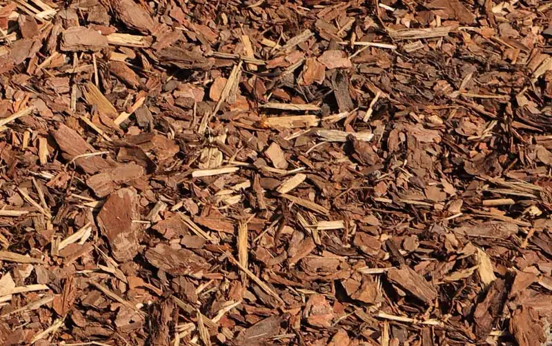 Rindenprodukte — Rindenmulch, Pinienrinde und Rindenhumus