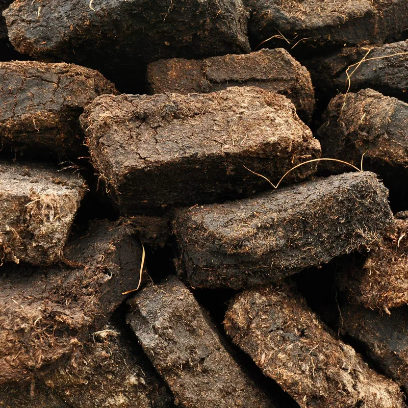 Hochmoortorf — Wichtiger Ausgangsstoff im professionellen Gartenbau